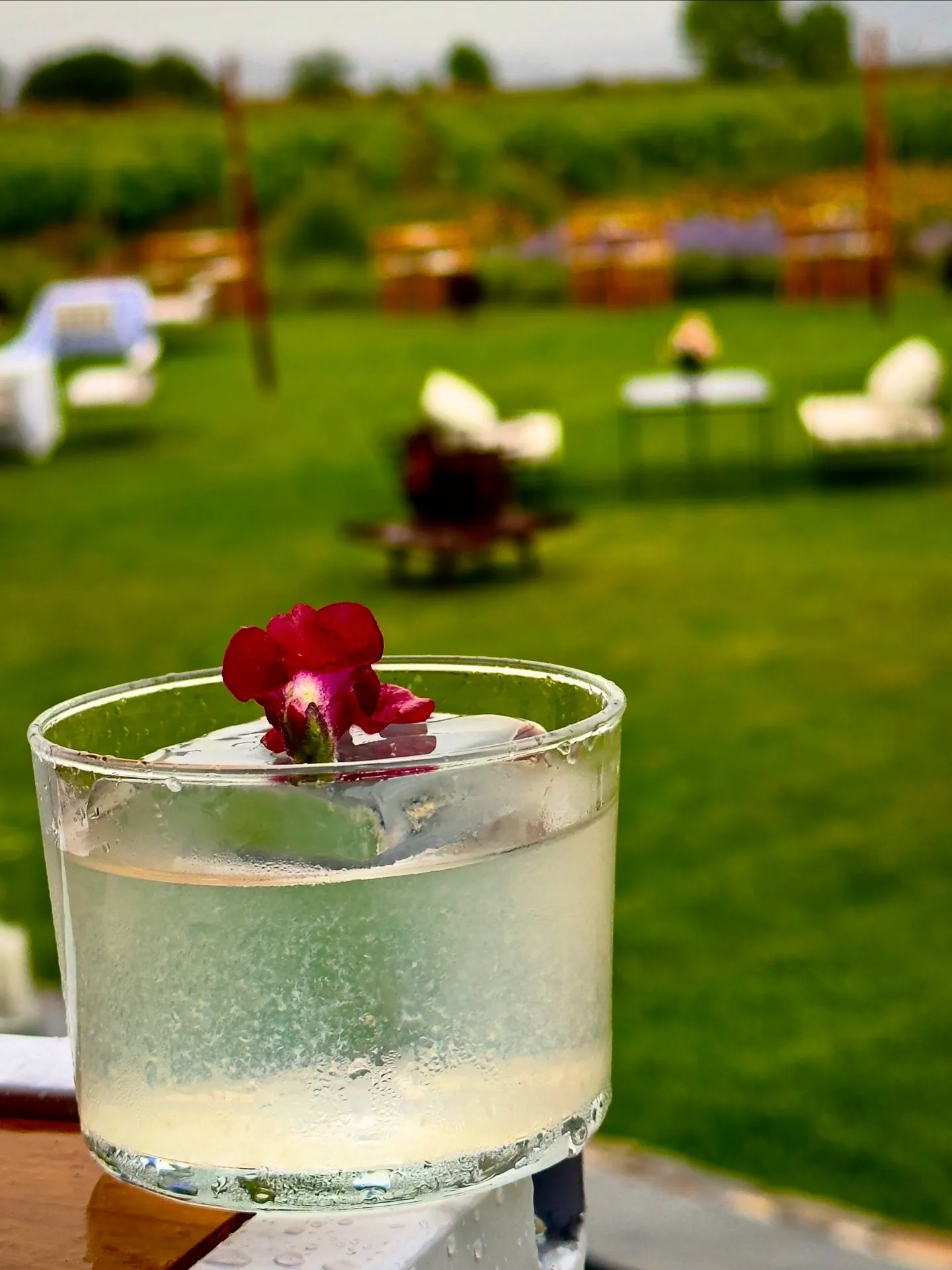 Galería evento Drink Up 1